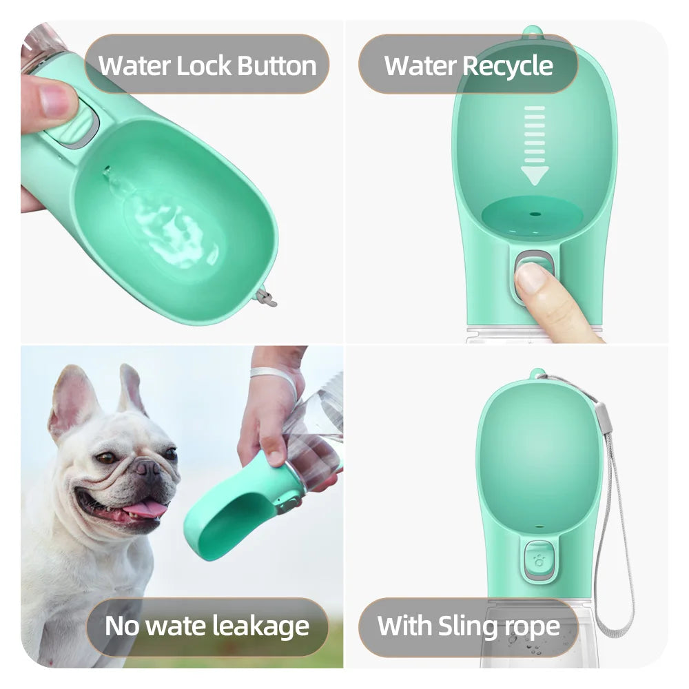 Gourde Nomade PawSpa – Bol Pliable Anti-Fuite pour Chien