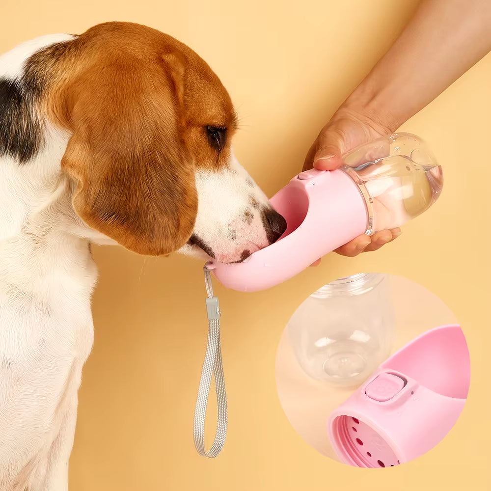 Gourde Nomade PawSpa – Bol Pliable Anti-Fuite pour Chien